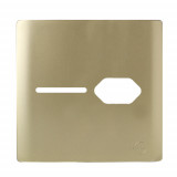 Placa p/ 1 Interruptor + Tomada 4x4 - Novara Dourado